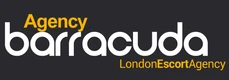 Agency Barracuda